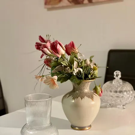 Appartement Zentral - Bahnhofnaehe - Universitaet-mercedes-modern *